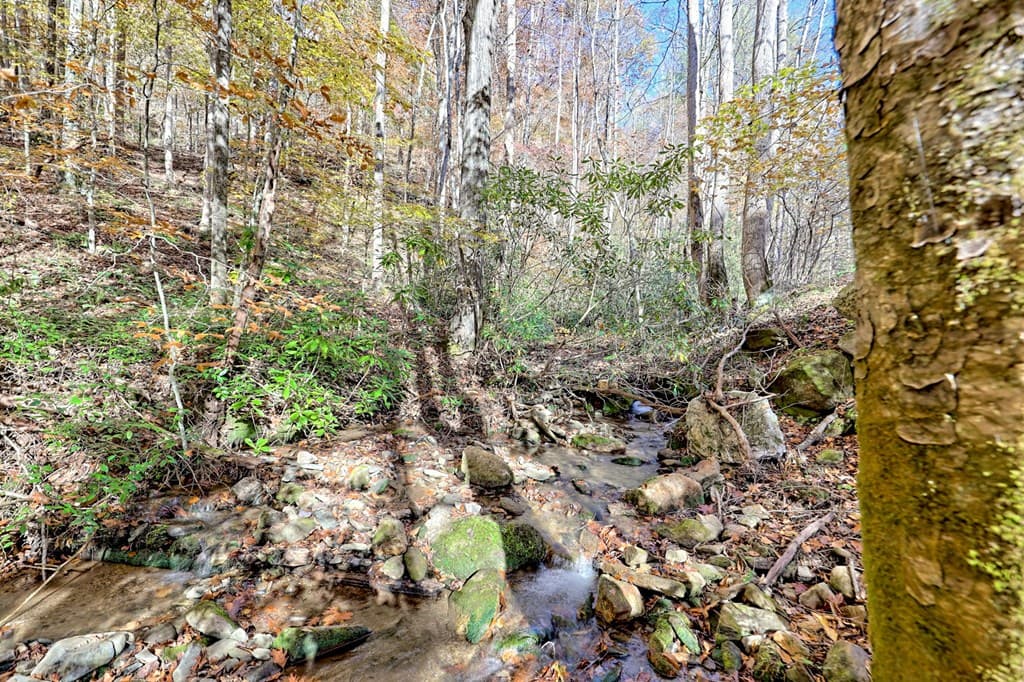 1307 Clear Creek Road, Hayesville NC 28904 - Photo