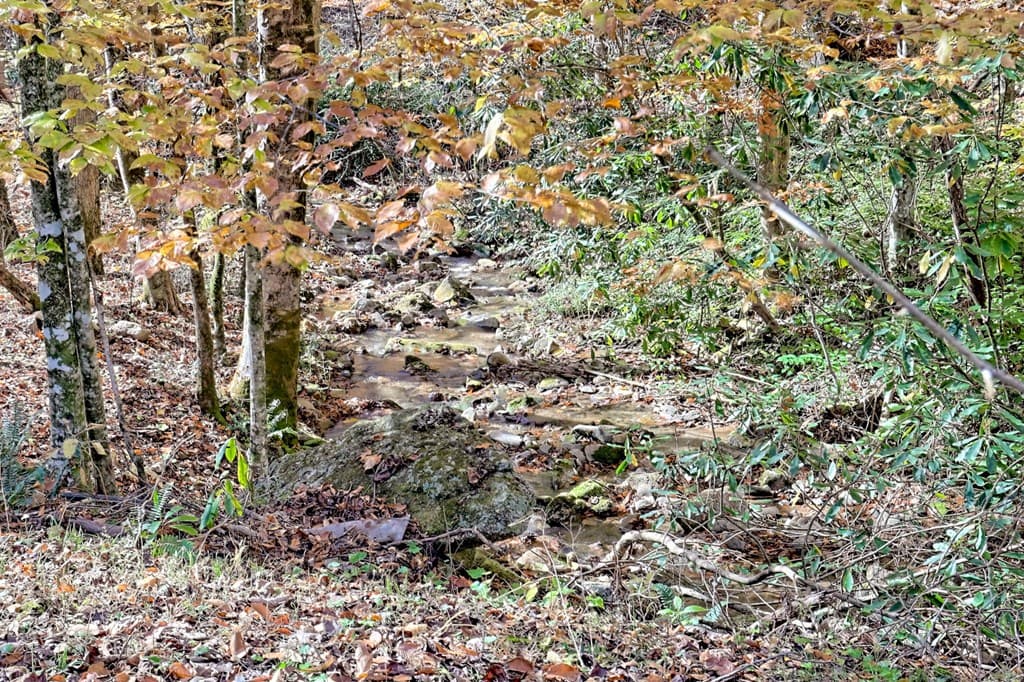 1307 Clear Creek Road, Hayesville NC 28904 - Photo