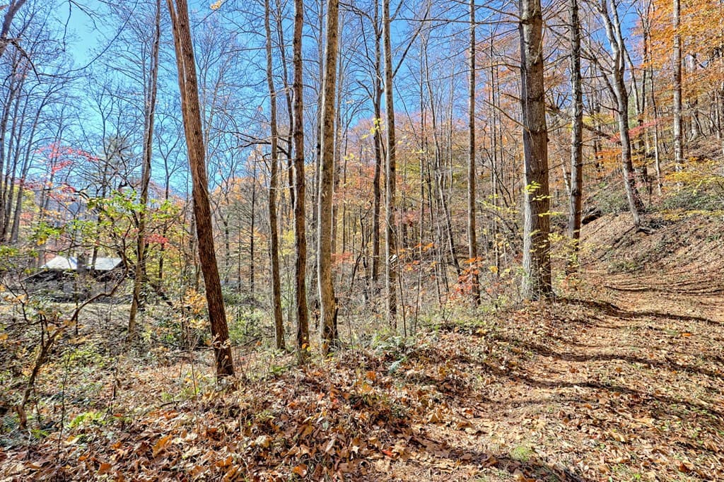 1307 Clear Creek Road, Hayesville NC 28904 - Photo