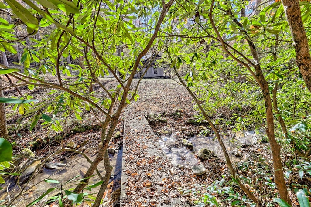 1307 Clear Creek Road, Hayesville NC 28904 - Photo