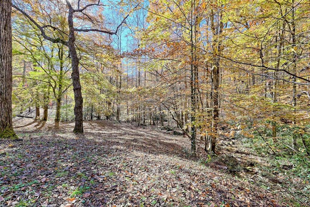1307 Clear Creek Road, Hayesville NC 28904 - Photo