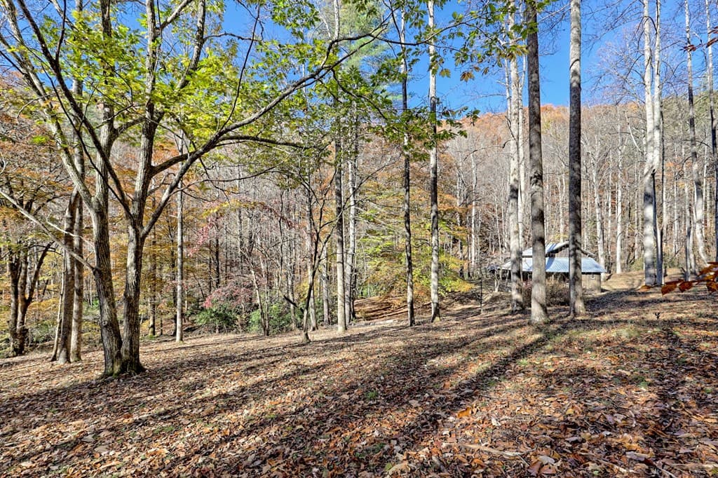 1307 Clear Creek Road, Hayesville NC 28904 - Photo