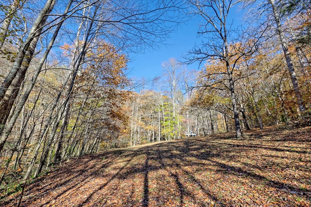 1307 Clear Creek Road, Hayesville NC 28904 - Photo