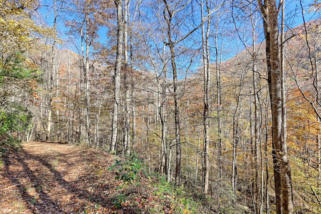 1307 Clear Creek Road, Hayesville NC 28904 - Photo