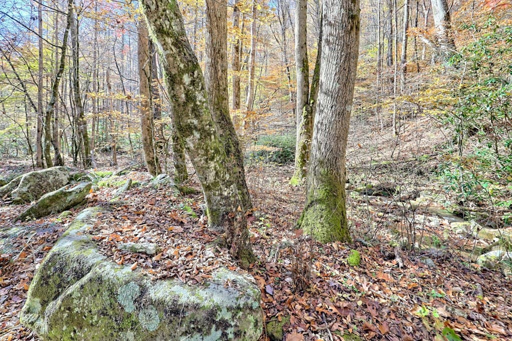 1307 Clear Creek Road, Hayesville NC 28904 - Photo