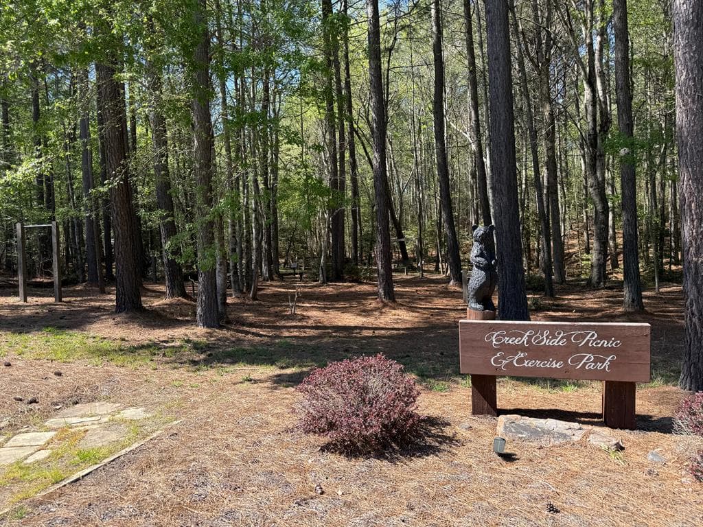 1286 Deyton Drive, Blairsville GA 30512 - Photo
