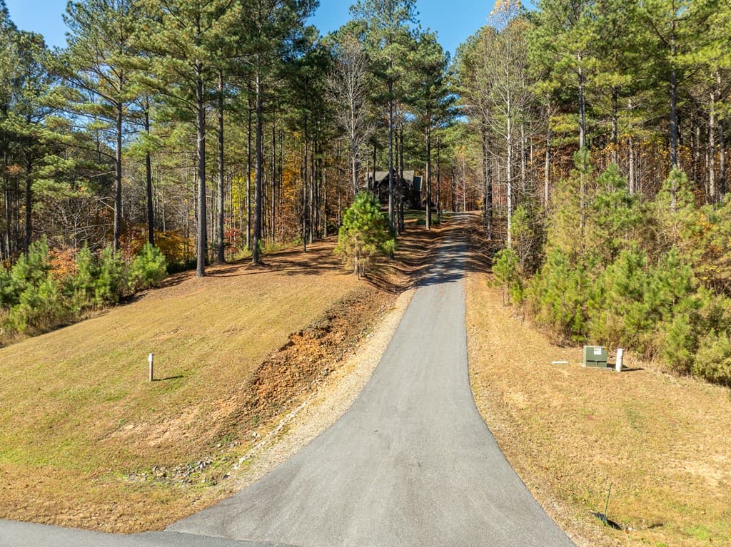 1286 Deyton Drive, Blairsville GA 30512 - Photo