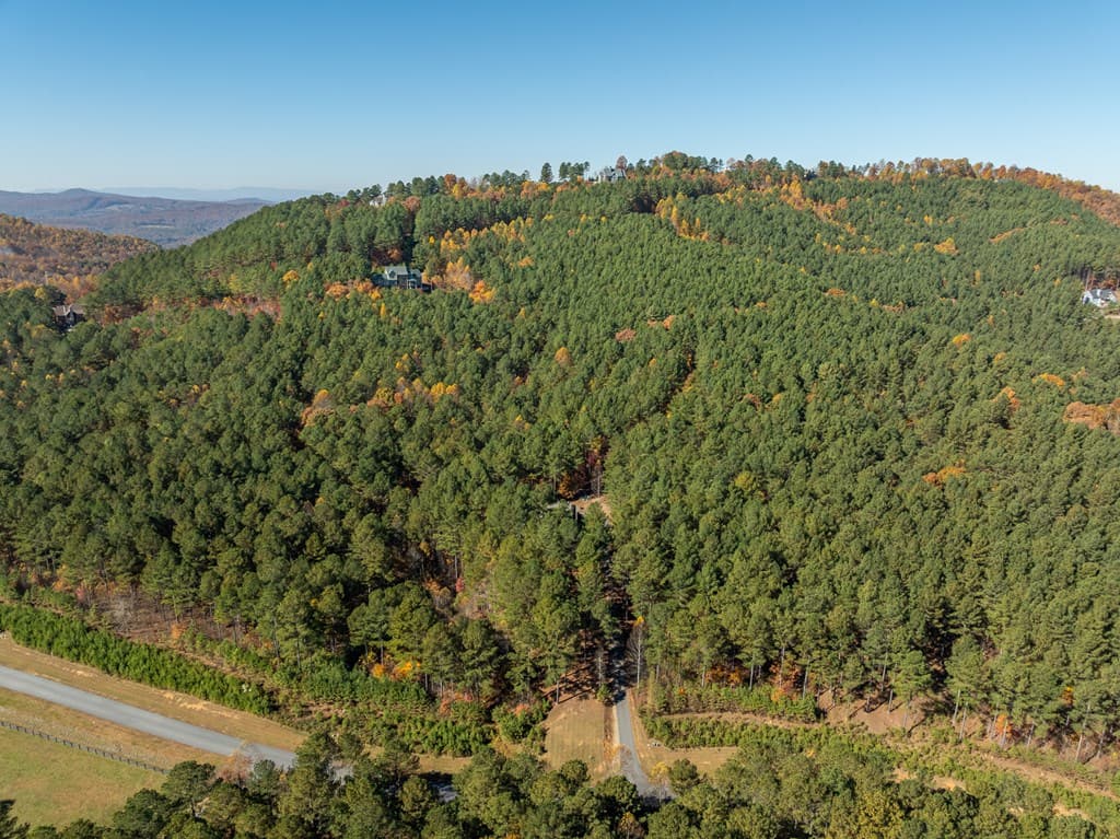1286 Deyton Drive, Blairsville GA 30512 - Photo