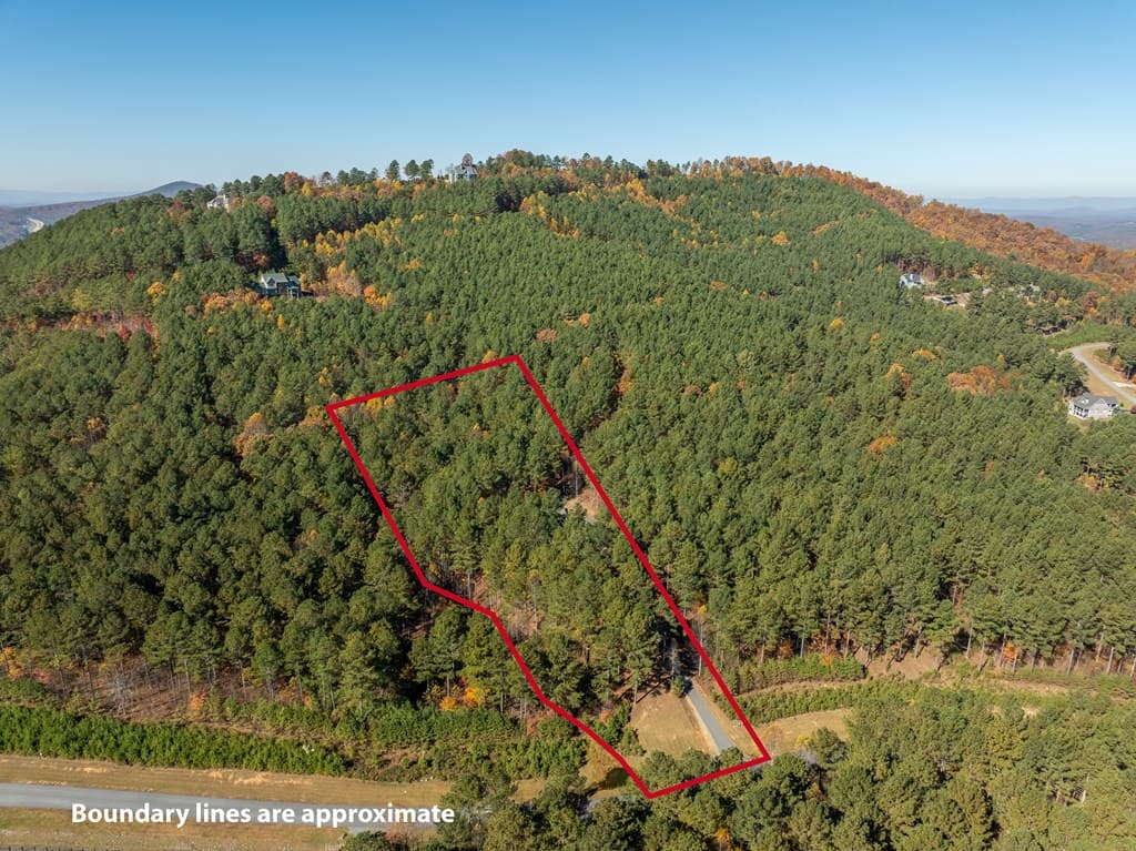1286 Deyton Drive, Blairsville GA 30512 - Photo