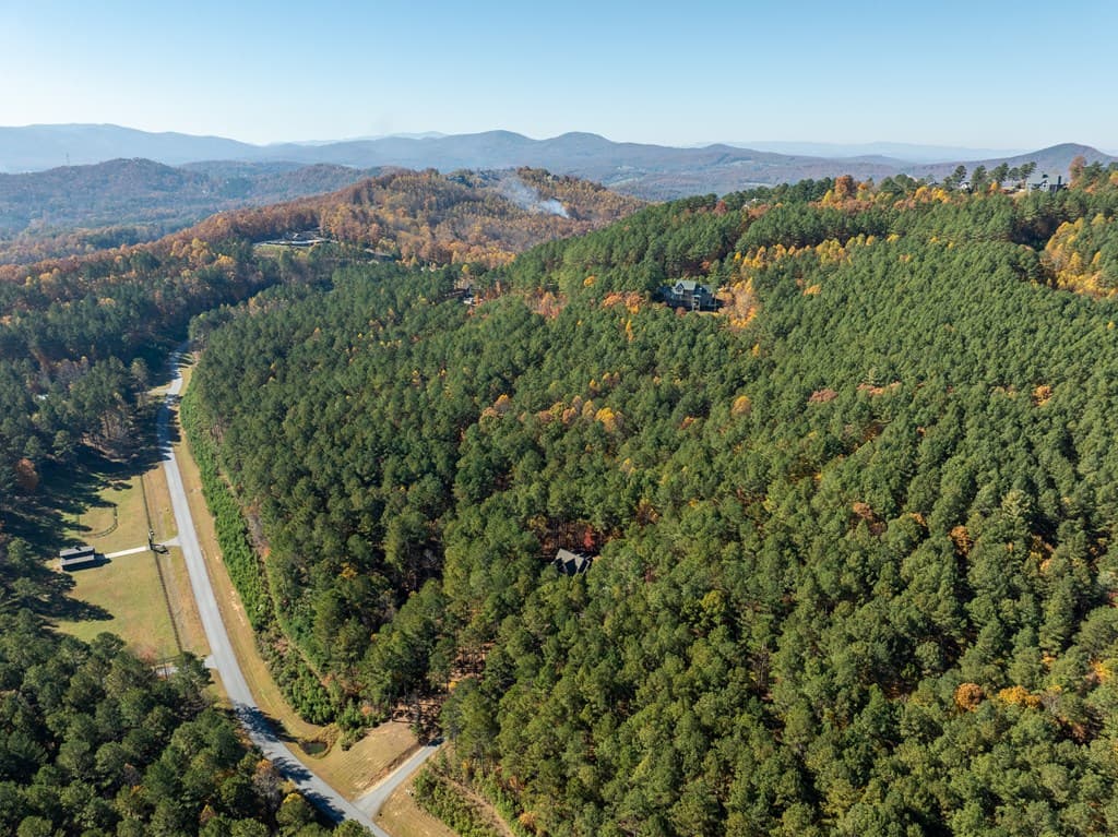 1286 Deyton Drive, Blairsville GA 30512 - Photo