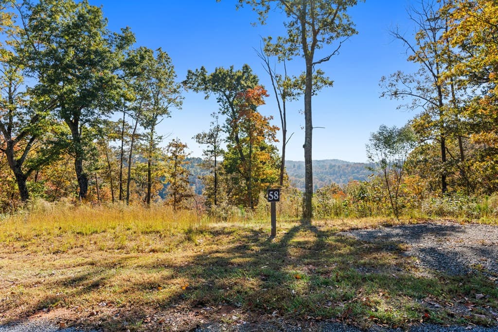 Lot 58 Ridge Line Trail, Ellijay GA 30540 - Photo