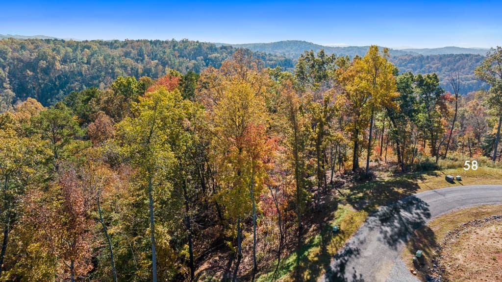 Lot 58 Ridge Line Trail, Ellijay GA 30540 - Photo