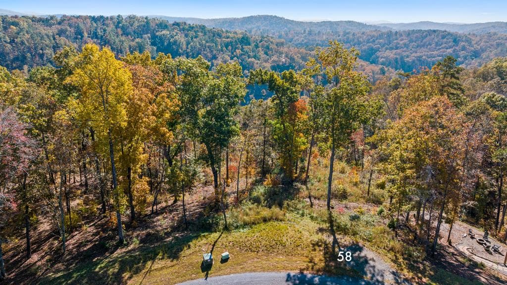 Lot 58 Ridge Line Trail, Ellijay GA 30540 - Primary photo