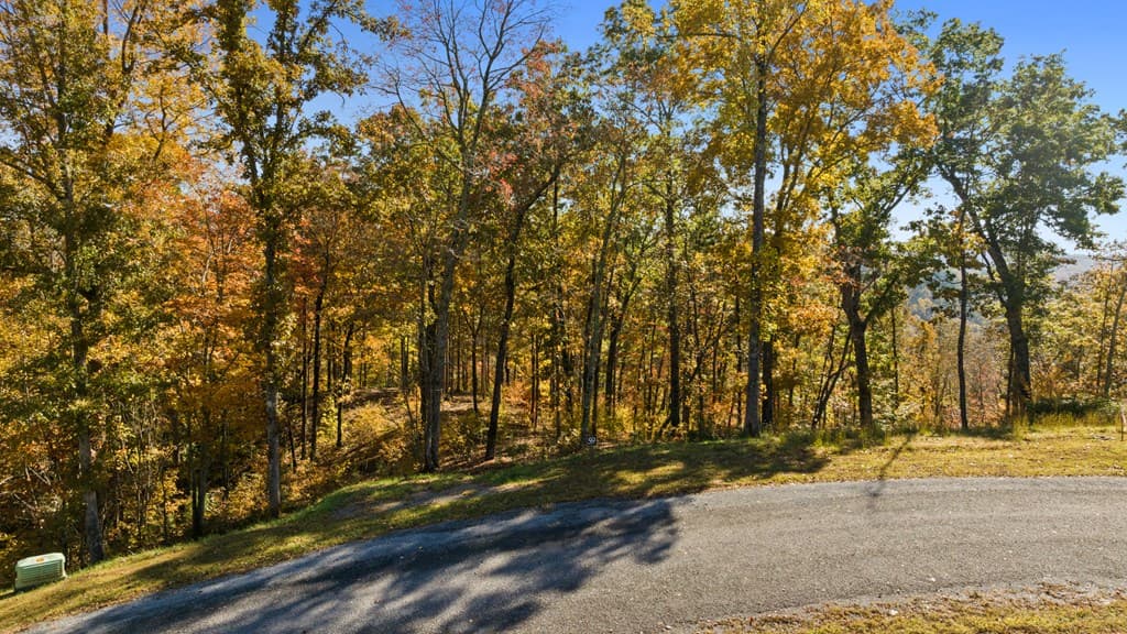 Lot 58 Ridge Line Trail, Ellijay GA 30540 - Photo
