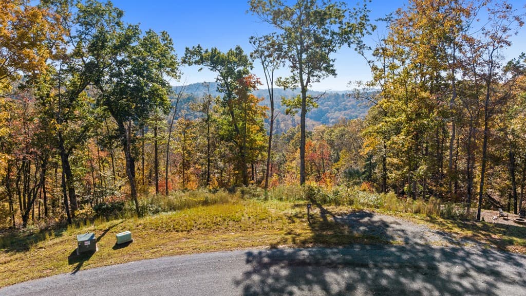 Lot 58 Ridge Line Trail, Ellijay GA 30540 - Photo