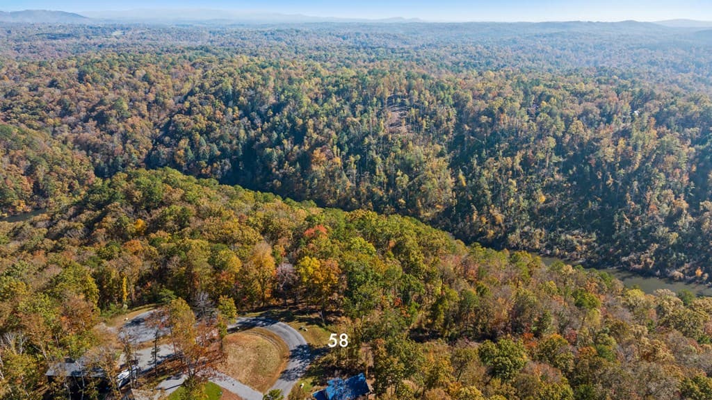Lot 58 Ridge Line Trail, Ellijay GA 30540 - Photo