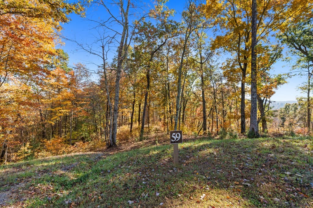 Lot 58 Ridge Line Trail, Ellijay GA 30540 - Photo