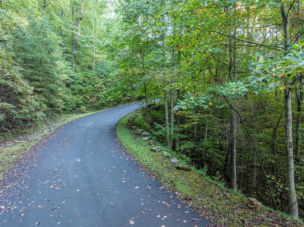 Lot 3 Wilderness Way, Ellijay GA 30536 - Photo