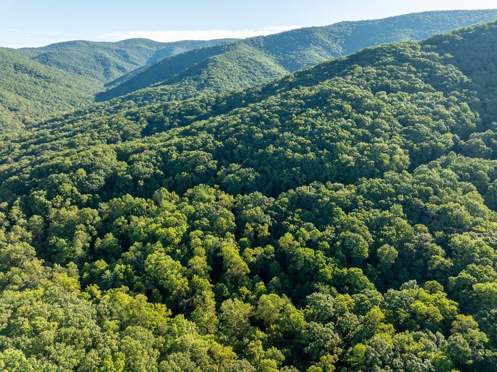 Lot 3 Wilderness Way, Ellijay GA 30536 - Photo