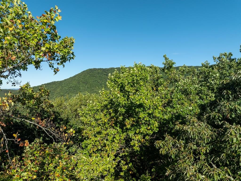 Lot 3 Wilderness Way, Ellijay GA 30536 - Primary photo
