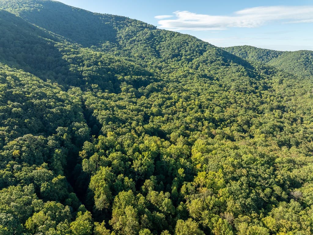 Lot 3 Wilderness Way, Ellijay GA 30536 - Photo