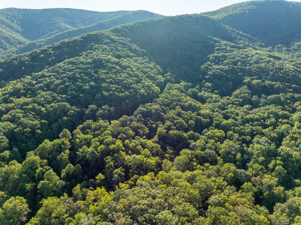 Lot 3 Wilderness Way, Ellijay GA 30536 - Photo