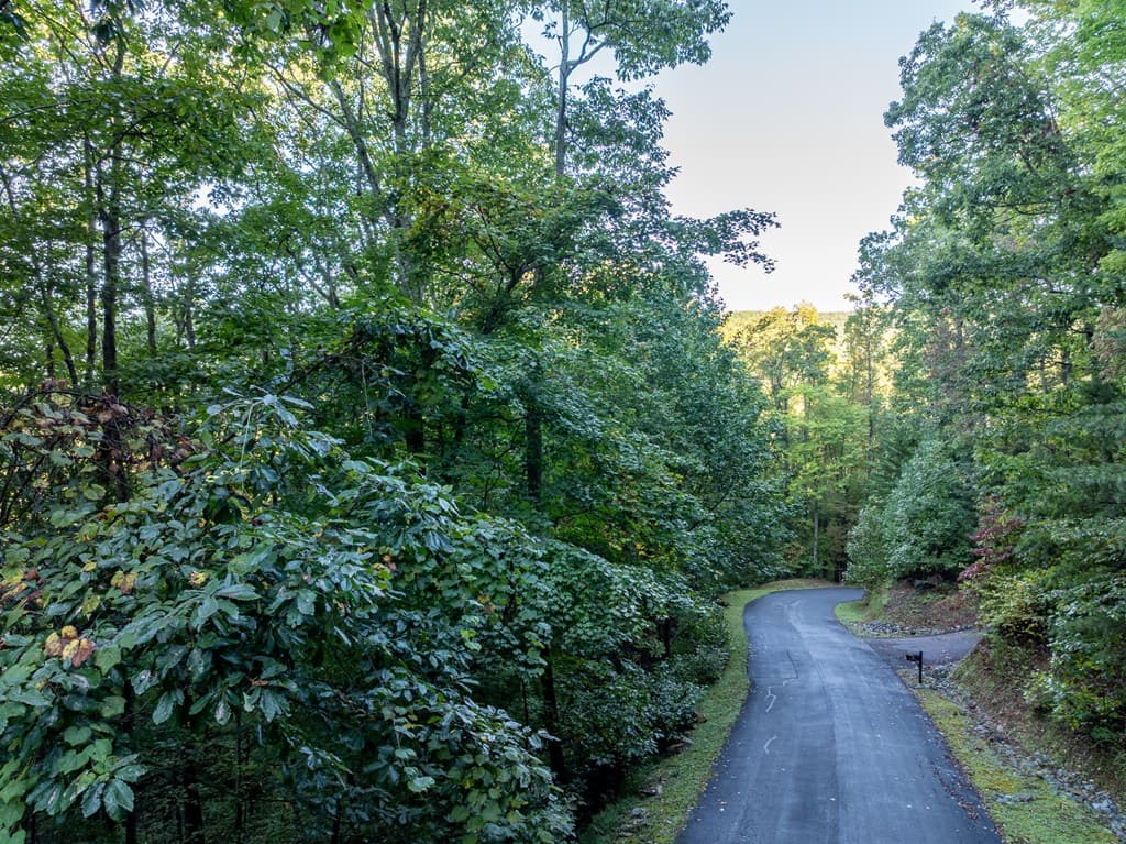 Lot 3 Wilderness Way, Ellijay GA 30536 - Photo