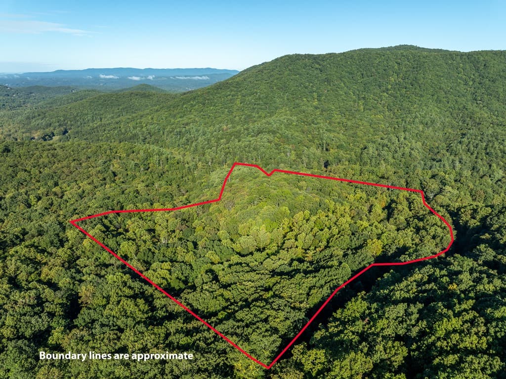 Lot 3 Wilderness Way, Ellijay GA 30536 - Photo