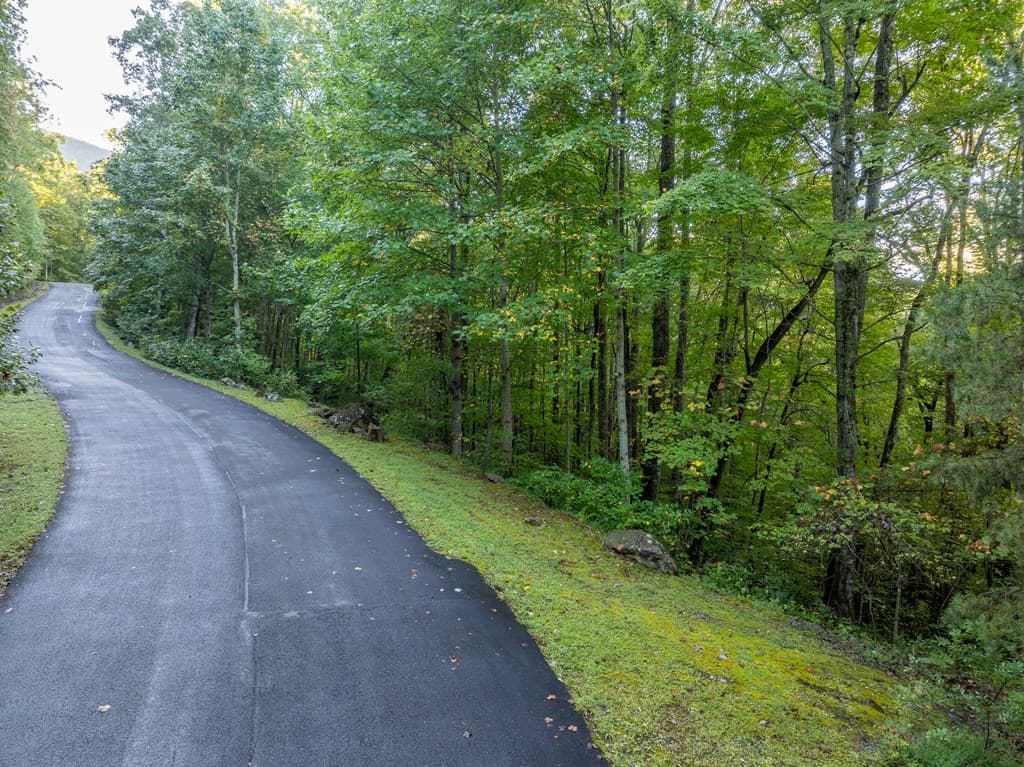 Lot 3 Wilderness Way, Ellijay GA 30536 - Photo