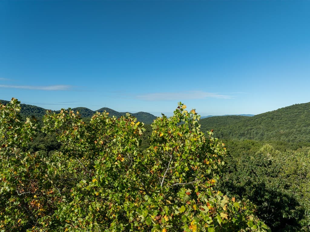 Lot 3 Wilderness Way, Ellijay GA 30536 - Photo