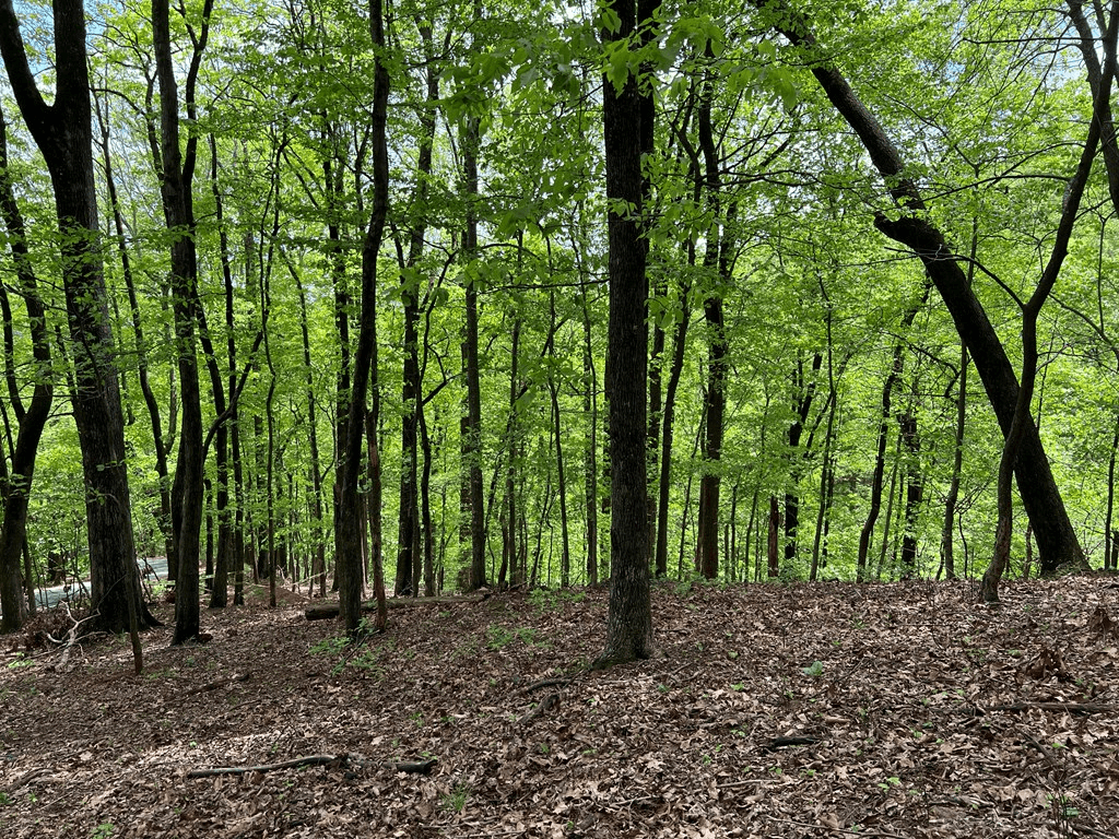 0 Valley View Drive, Big Canoe GA 30143 - Photo