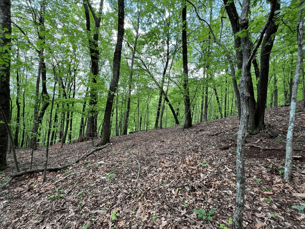 0 Valley View Drive, Big Canoe GA 30143 - Photo