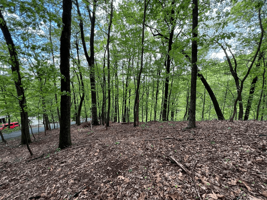 0 Valley View Drive, Big Canoe GA 30143 - Photo