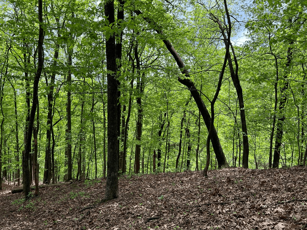 0 Valley View Drive, Big Canoe GA 30143 - Photo