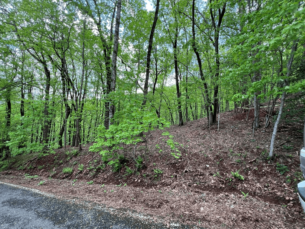 0 Valley View Drive, Big Canoe GA 30143 - Photo