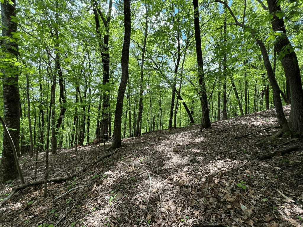 0 Valley View Drive, Big Canoe GA 30143 - Photo