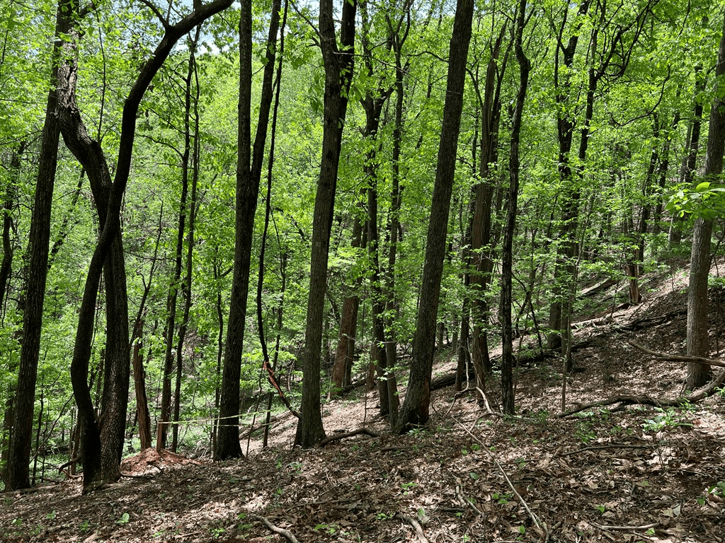 0 Valley View Drive, Big Canoe GA 30143 - Photo