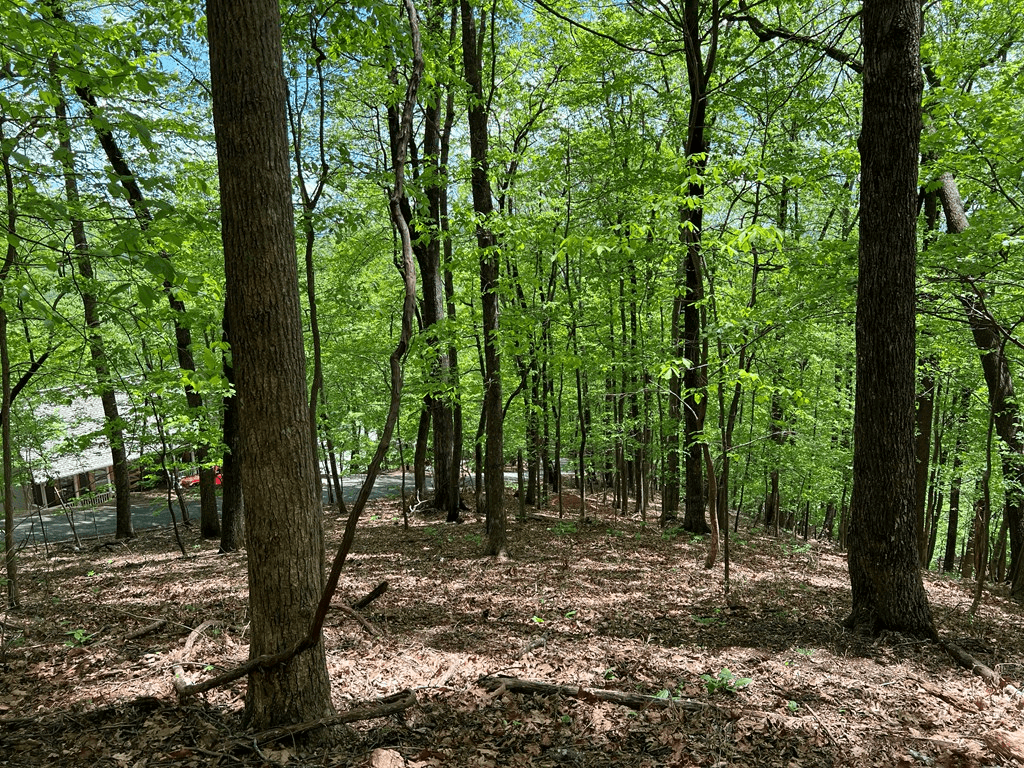0 Valley View Drive, Big Canoe GA 30143 - Photo
