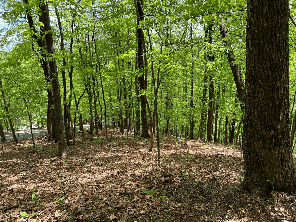 0 Valley View Drive, Big Canoe GA 30143 - Photo