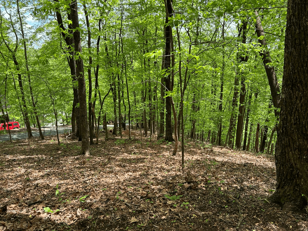 0 Valley View Drive, Big Canoe GA 30143 - Photo