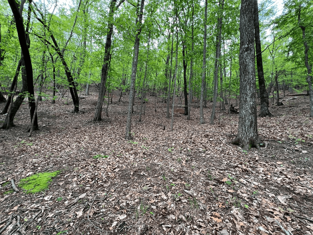 387 Windflower Drive, Dawson GA 30143 - Photo