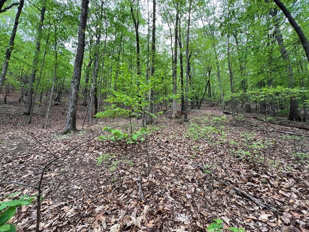 387 Windflower Drive, Dawson GA 30143 - Primary photo