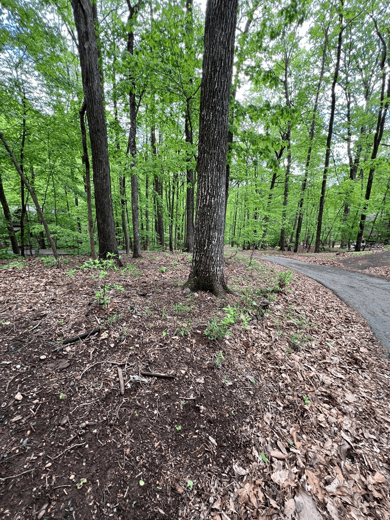 387 Windflower Drive, Dawson GA 30143 - Photo