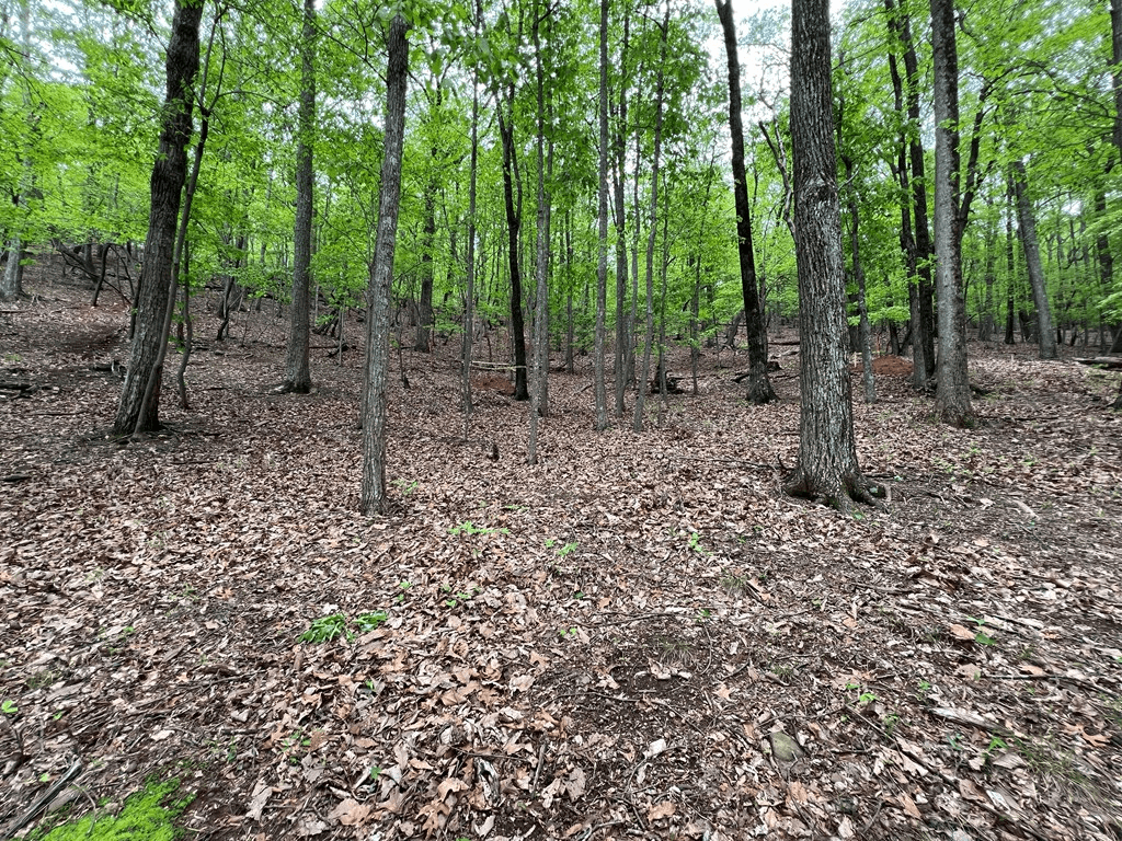 387 Windflower Drive, Dawson GA 30143 - Photo