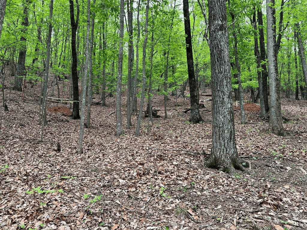 387 Windflower Drive, Dawson GA 30143 - Photo