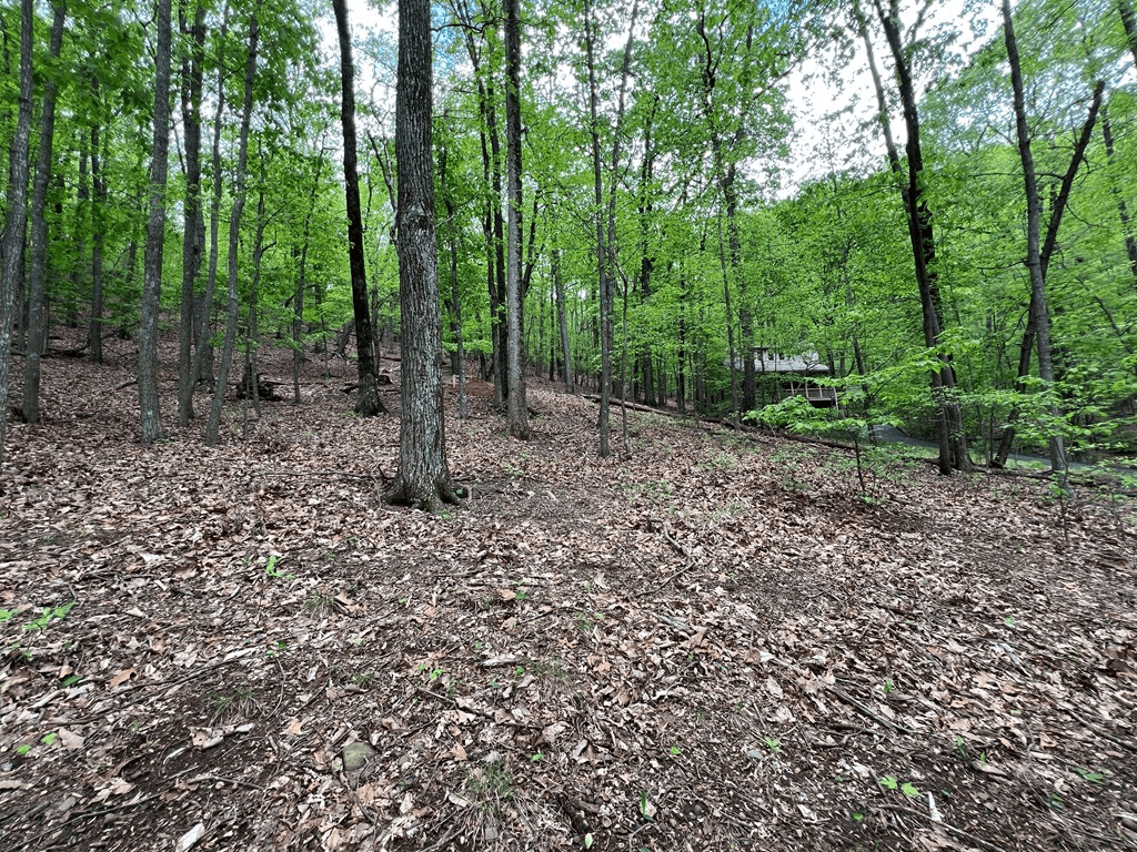 387 Windflower Drive, Dawson GA 30143 - Photo