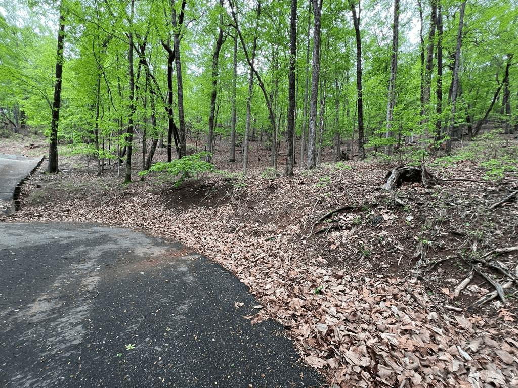 387 Windflower Drive, Dawson GA 30143 - Photo