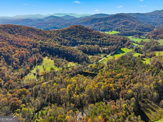 138 Cottonwood Lane, Blue Ridge GA 30513 - Photo
