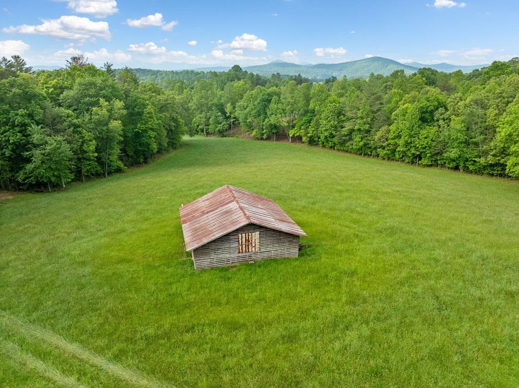 10442 Hwy 325, Blairsville GA 30512 - Photo