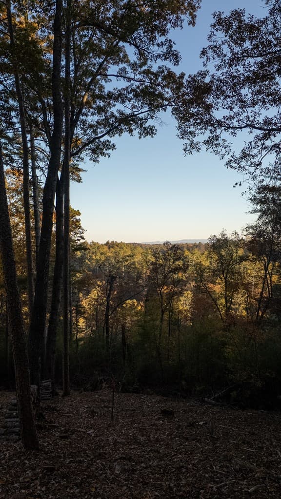 155 Rhondas Way, Ellijay GA 30540 - Photo